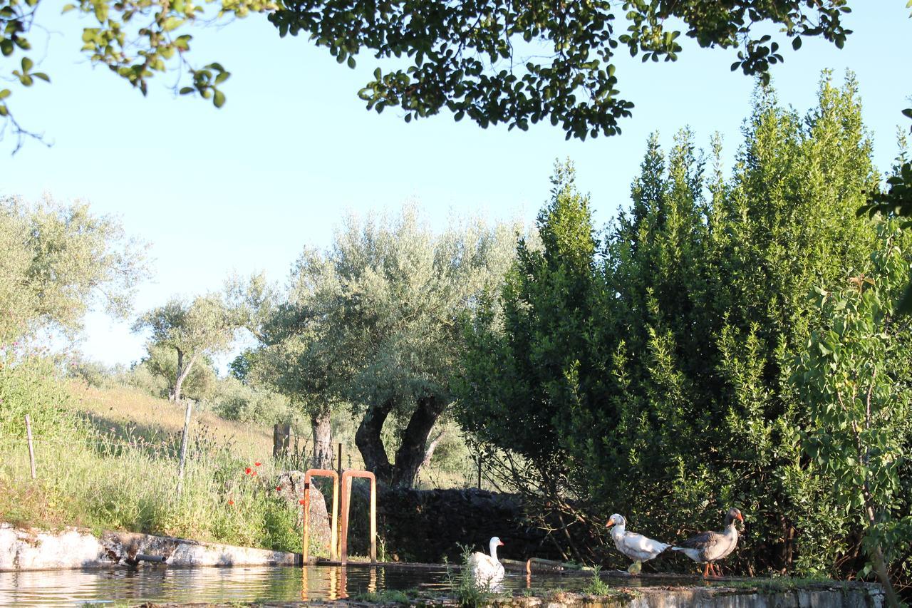 Finca La Carnicera Constantina Zewnętrze zdjęcie