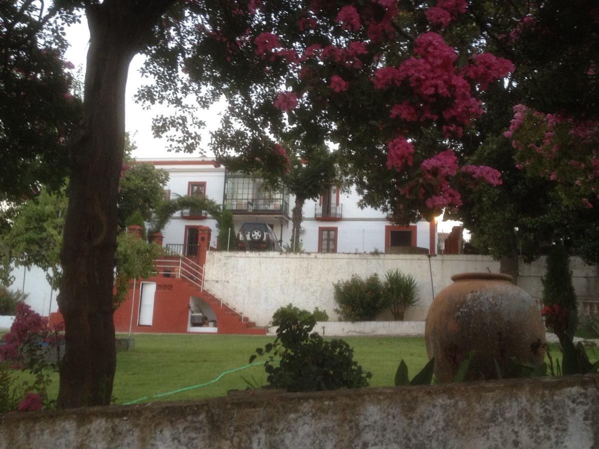 Finca La Carnicera Constantina Zewnętrze zdjęcie