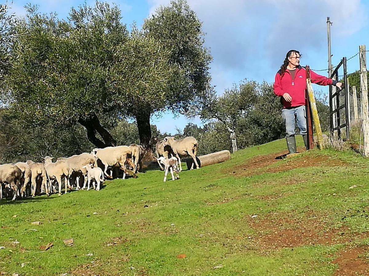 Finca La Carnicera Constantina Zewnętrze zdjęcie