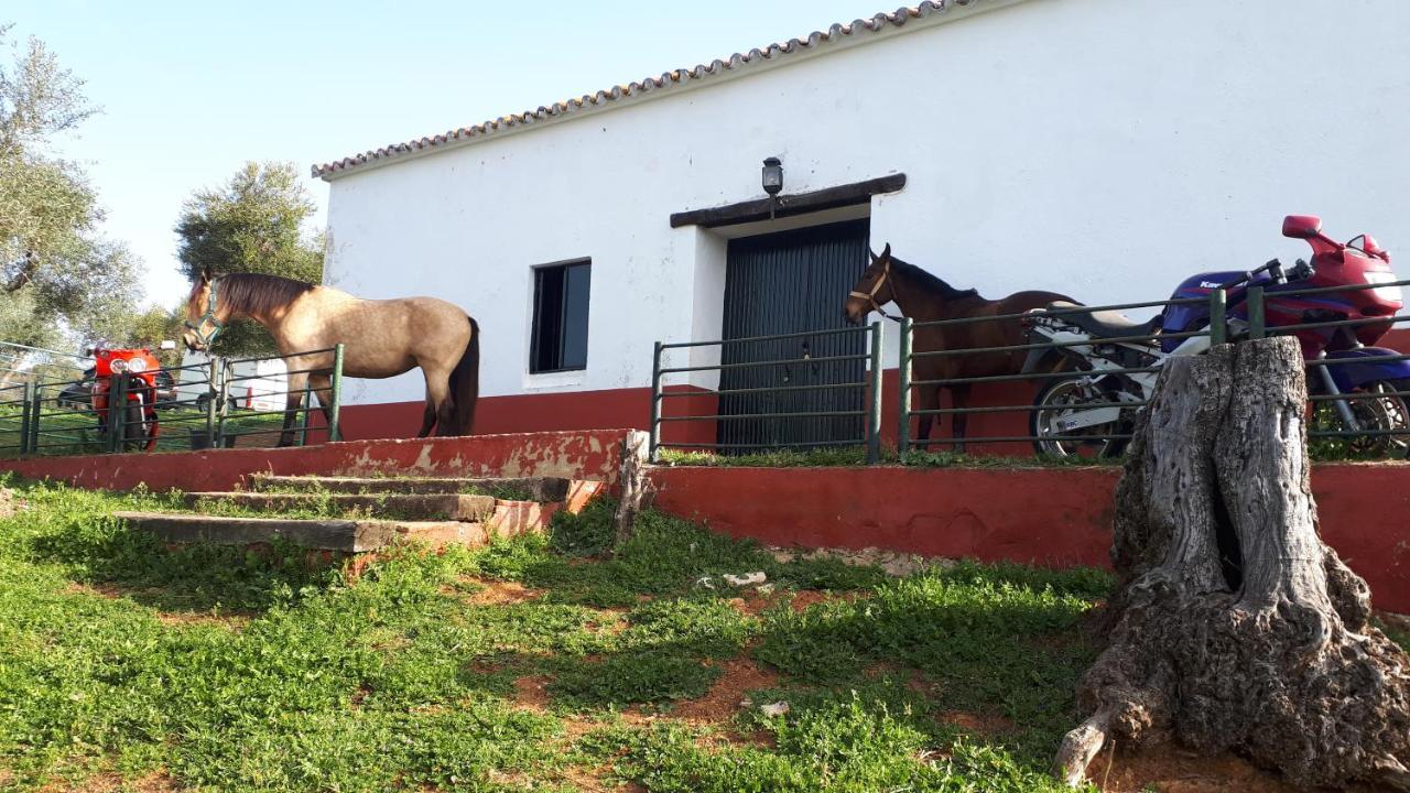 Finca La Carnicera Constantina Zewnętrze zdjęcie