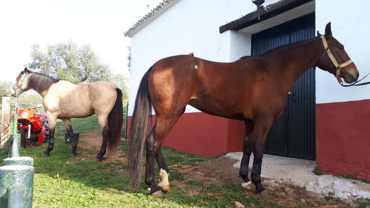 Finca La Carnicera Constantina Zewnętrze zdjęcie