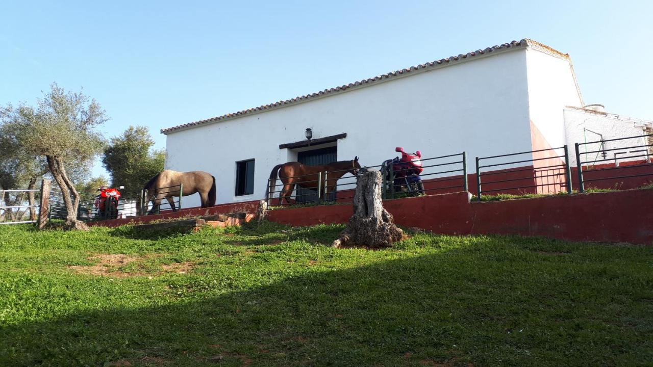 Finca La Carnicera Constantina Zewnętrze zdjęcie