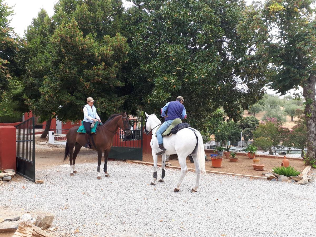 Finca La Carnicera Constantina Zewnętrze zdjęcie